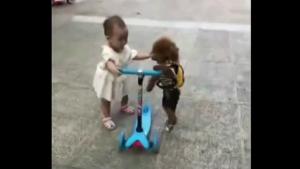 Poodle Stealing  Kids Scooter