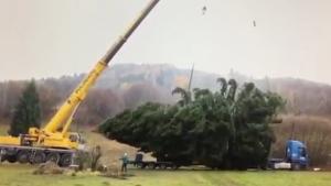 Crane Tips Over Lifting Christmas Tree